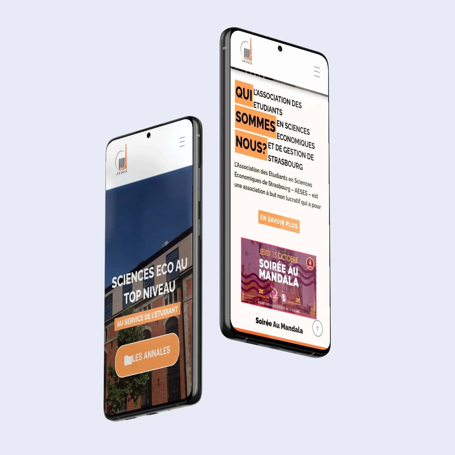 Mobile sections of the AESES website