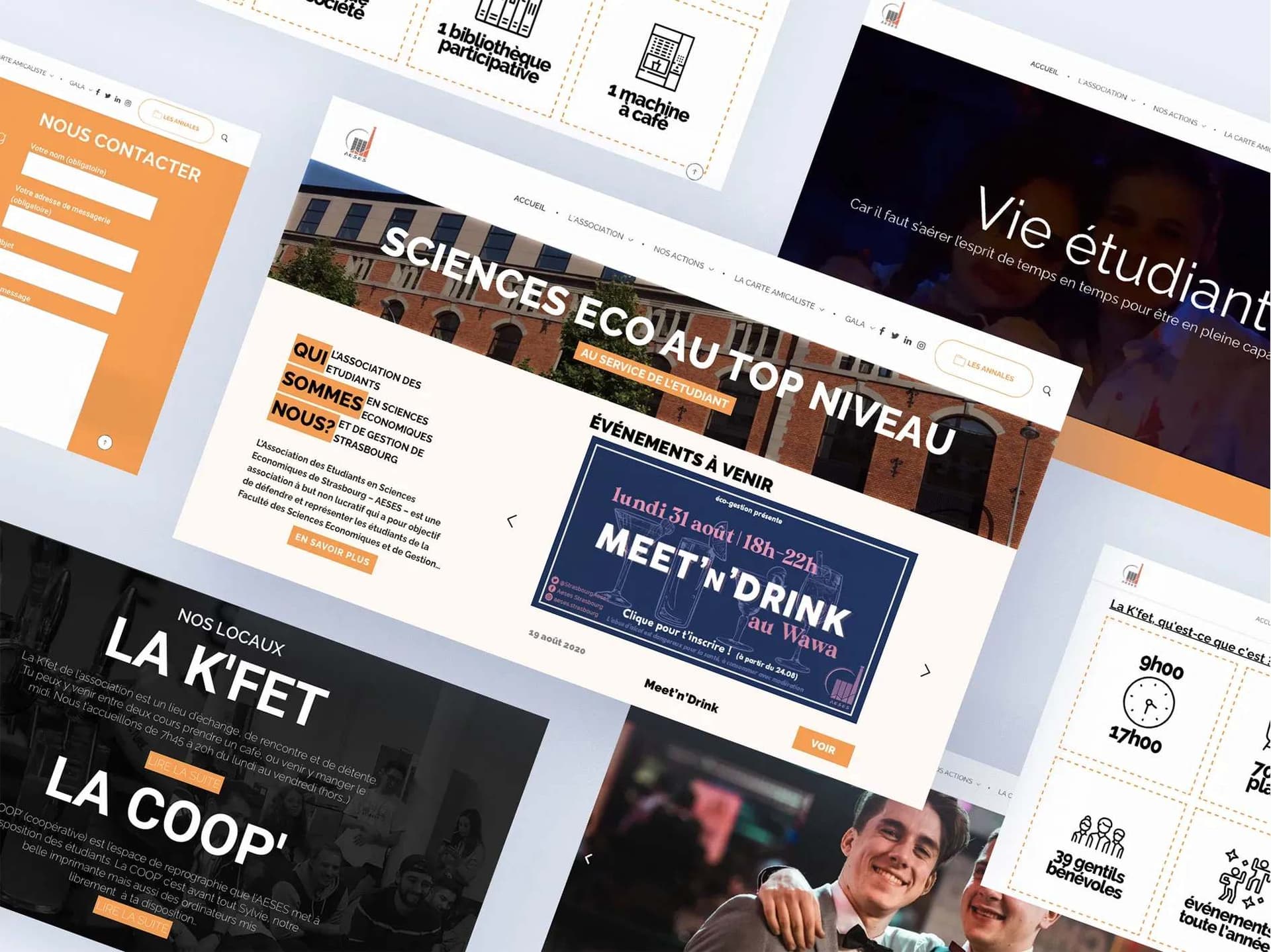 HERO section of the AESES website on desktop