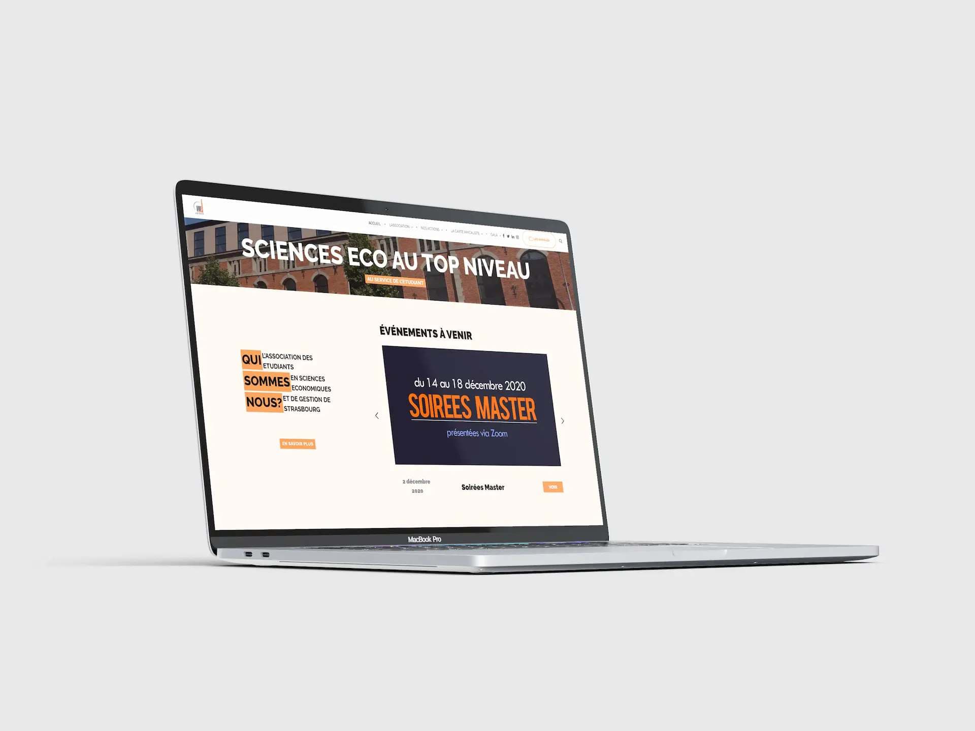 Sections of the AESES website on desktop